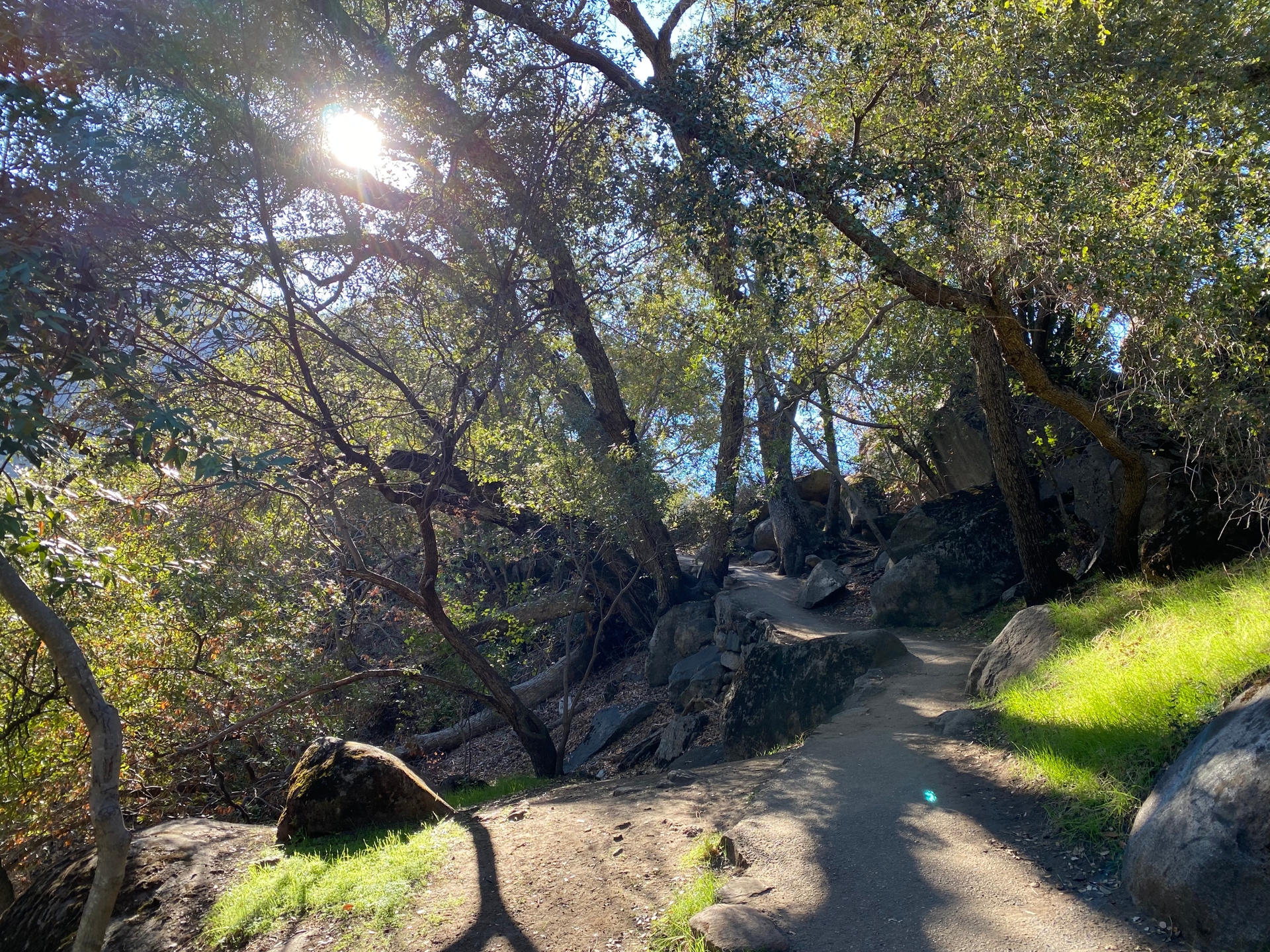 A photo for the album Sequoia National Park, 2021